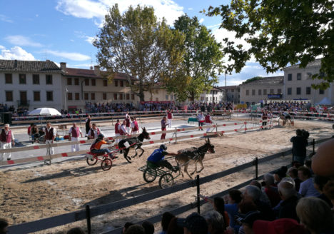 Partenza Corsa degli Asini Fagagna Turismo
