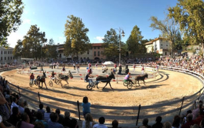 Corsa degli Asini - Pro Loco Fagagna Corsa degli Asini - Pro Loco Fagagna - Fagagna Turismo