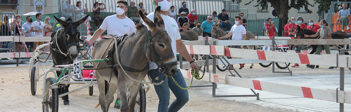 130 Corsa degli Asini, Fagagna - Domenica 6 settembre 2020