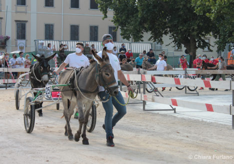 130 Corsa degli Asini, Fagagna - Domenica 6 settembre 2020