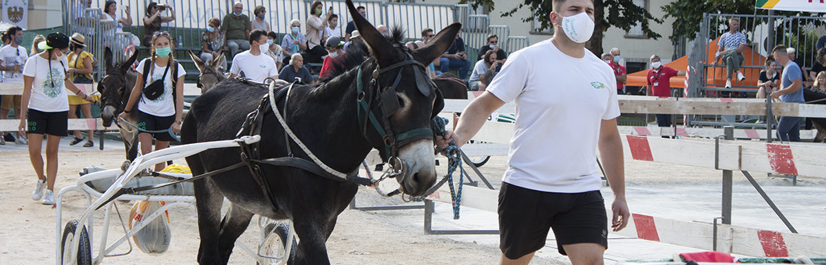 130 Corsa degli Asini, Fagagna - Domenica 6 settembre 2020