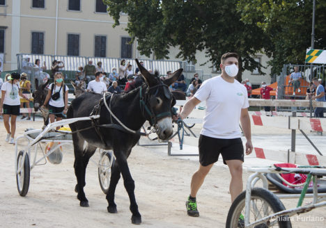 130 Corsa degli Asini, Fagagna - Domenica 6 settembre 2020