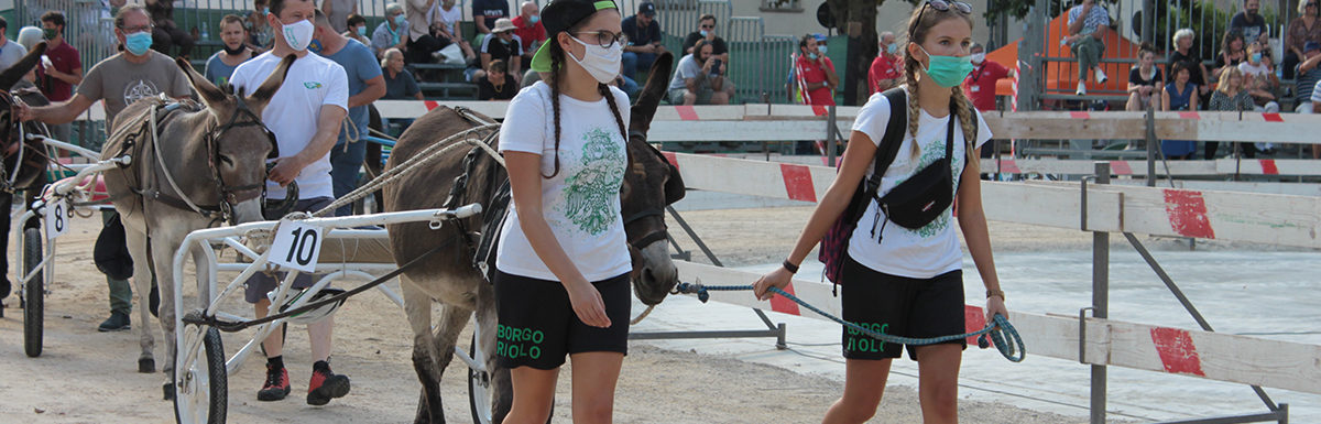 130 Corsa degli Asini, Fagagna - Domenica 6 settembre 2020