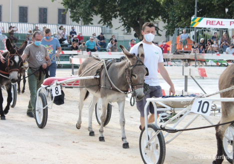 130 Corsa degli Asini, Fagagna - Domenica 6 settembre 2020