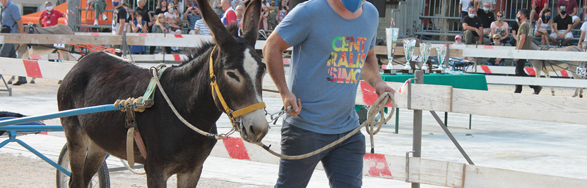 130 Corsa degli Asini, Fagagna - Domenica 6 settembre 2020