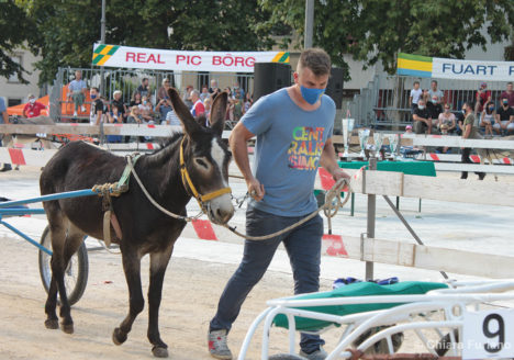 130 Corsa degli Asini, Fagagna - Domenica 6 settembre 2020
