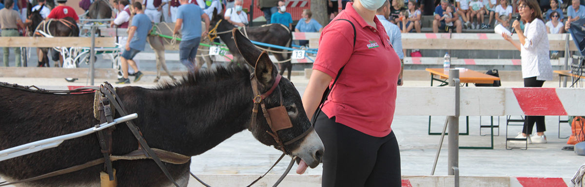 130 Corsa degli Asini, Fagagna - Domenica 6 settembre 2020
