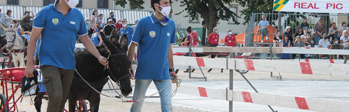 130 Corsa degli Asini, Fagagna - Domenica 6 settembre 2020