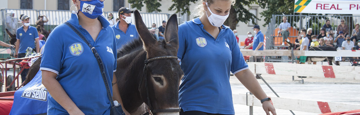 130 Corsa degli Asini, Fagagna - Domenica 6 settembre 2020