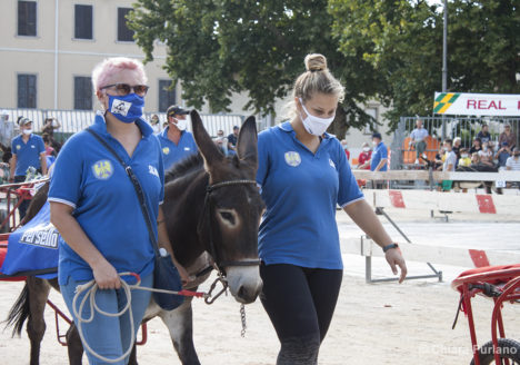130 Corsa degli Asini, Fagagna - Domenica 6 settembre 2020