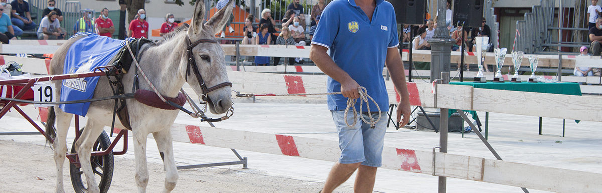 130 Corsa degli Asini, Fagagna - Domenica 6 settembre 2020