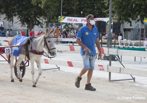 130 Corsa degli Asini, Fagagna - Domenica 6 settembre 2020