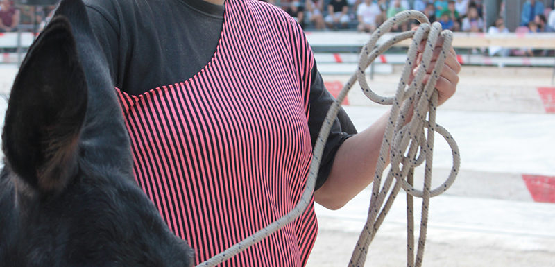 130 Corsa degli Asini, Fagagna - Domenica 6 settembre 2020