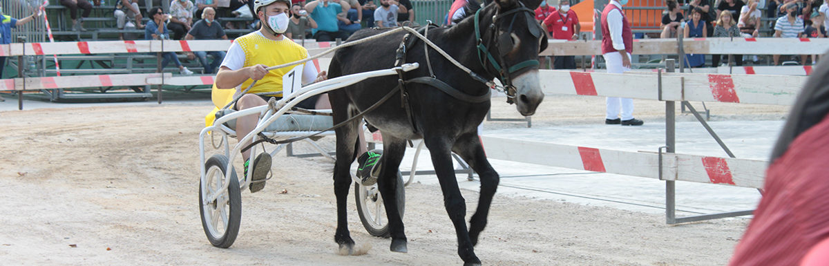130 Corsa degli Asini, Fagagna - Domenica 6 settembre 2020