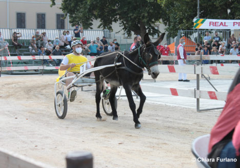 130 Corsa degli Asini, Fagagna - Domenica 6 settembre 2020