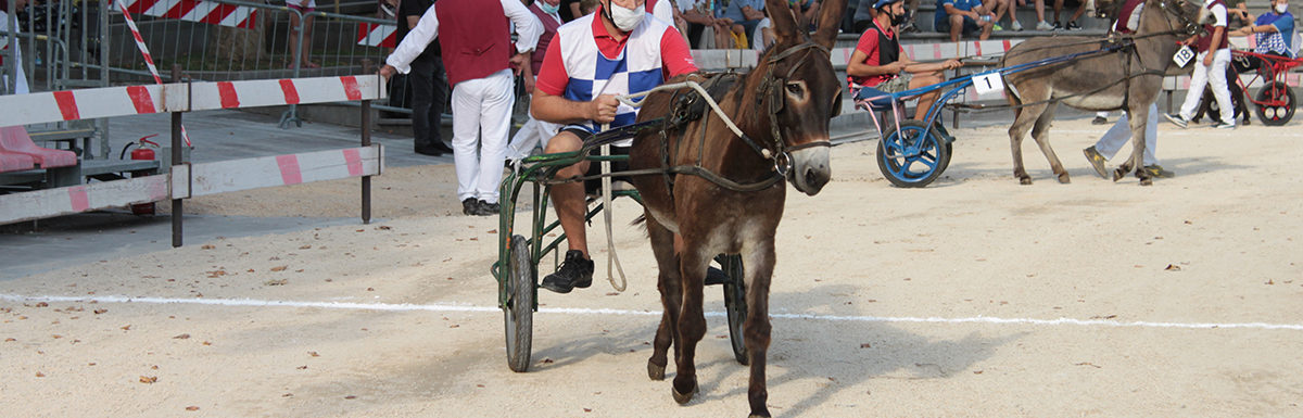 130 Corsa degli Asini, Fagagna - Domenica 6 settembre 2020