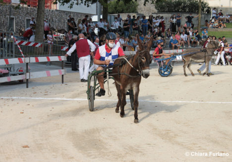 130 Corsa degli Asini, Fagagna - Domenica 6 settembre 2020