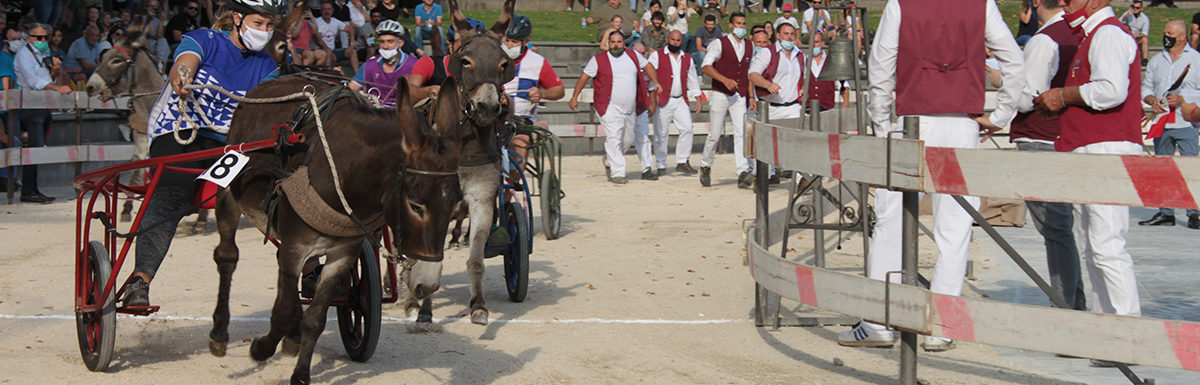 130 Corsa degli Asini, Fagagna - Domenica 6 settembre 2020