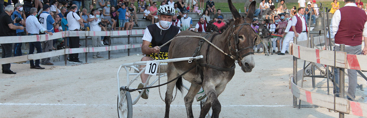 130 Corsa degli Asini, Fagagna - Domenica 6 settembre 2020