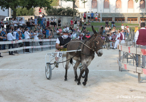 130 Corsa degli Asini, Fagagna - Domenica 6 settembre 2020