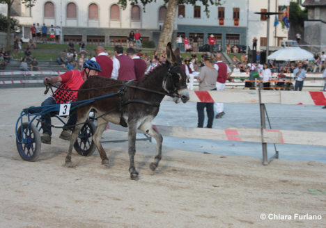 130 Corsa degli Asini, Fagagna - Domenica 6 settembre 2020