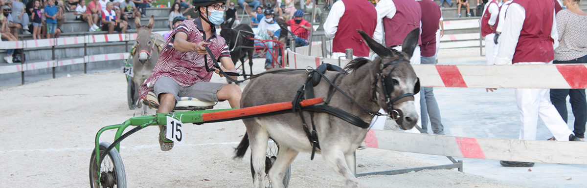 130 Corsa degli Asini, Fagagna - Domenica 6 settembre 2020