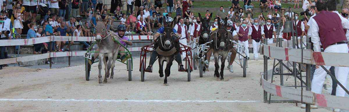 130 Corsa degli Asini, Fagagna - Domenica 6 settembre 2020