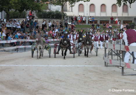 130 Corsa degli Asini, Fagagna - Domenica 6 settembre 2020