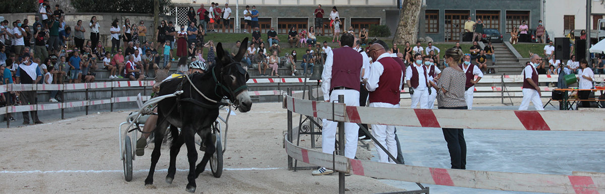 130 Corsa degli Asini, Fagagna - Domenica 6 settembre 2020