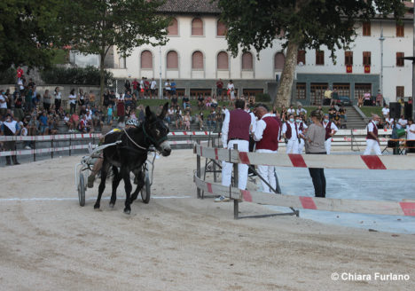 130 Corsa degli Asini, Fagagna - Domenica 6 settembre 2020