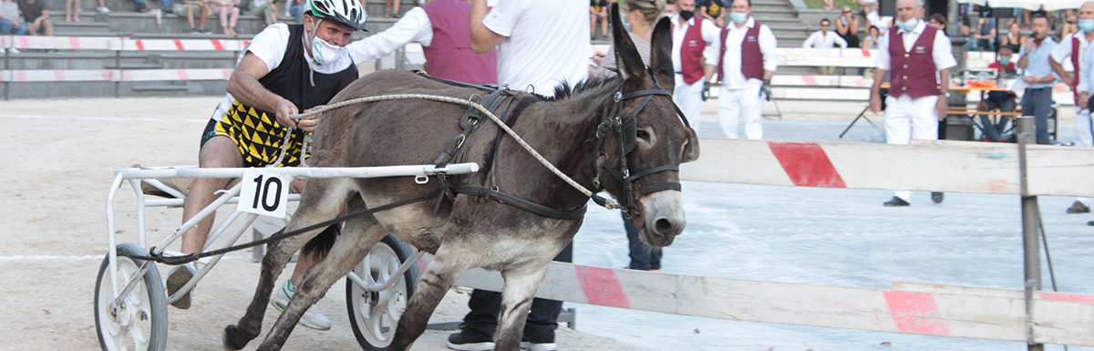 130 Corsa degli Asini, Fagagna - Domenica 6 settembre 2020