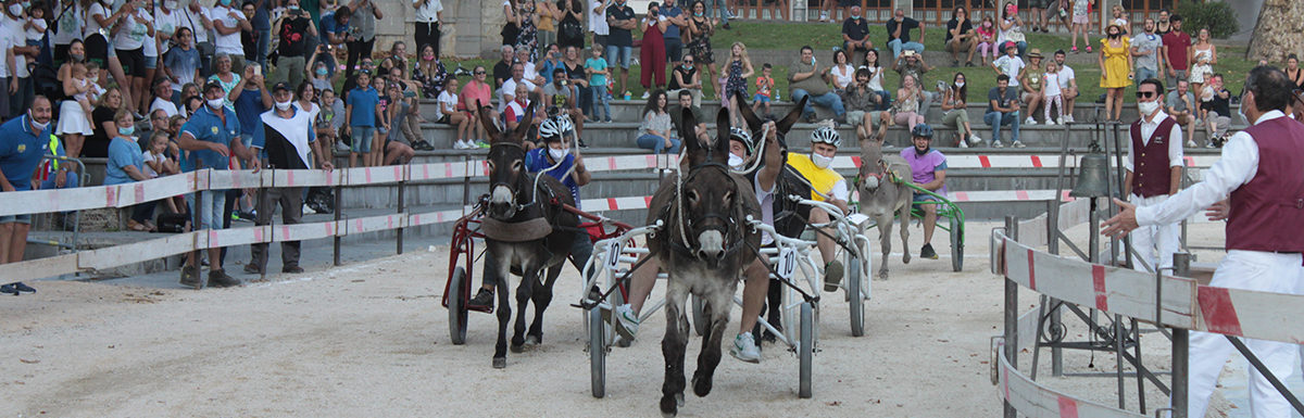130 Corsa degli Asini, Fagagna - Domenica 6 settembre 2020