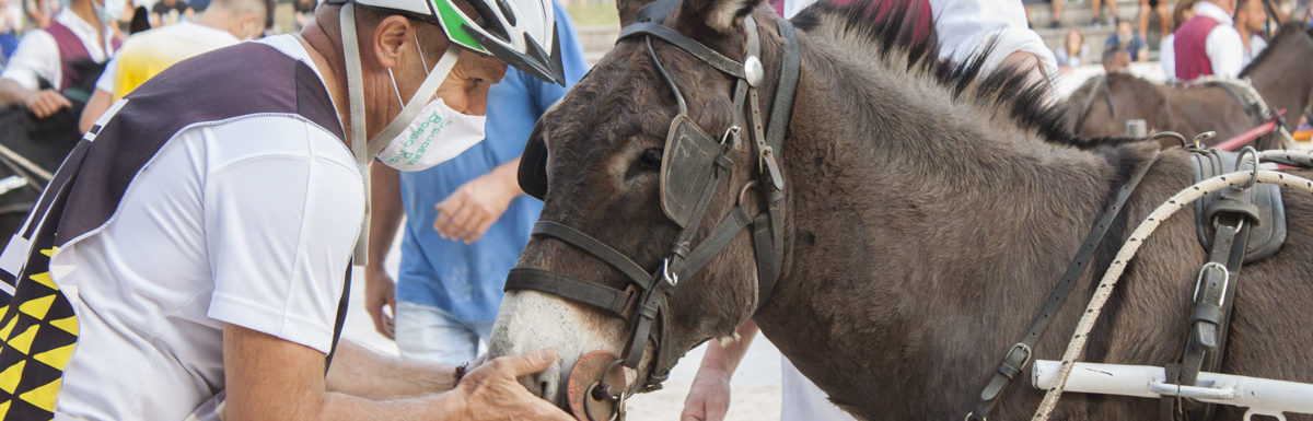 Beppina vincitrice della 130^ edizione Corsa degli Asini - Foto Furlano Chiara