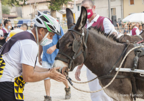 Beppina vincitrice della 130^ edizione Corsa degli Asini - Foto Furlano Chiara