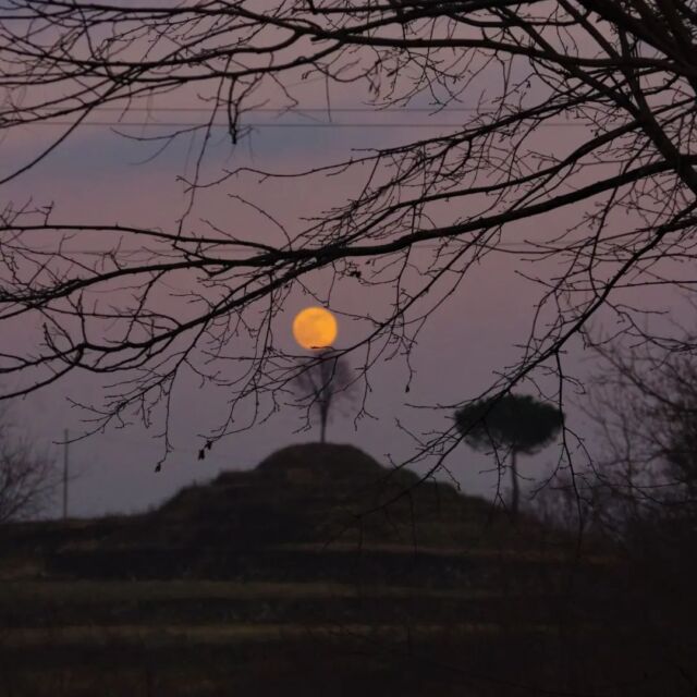 Cala il tramonto e sorge la luna.

📍 FAGAGNA

@en.nio56 

#fagagna #fagagnaturismo #luna #tramonto #alberi #friulicollinare #collinadifagagna #collinarefvg #borghibellifvg #borghitalia #italy #udine