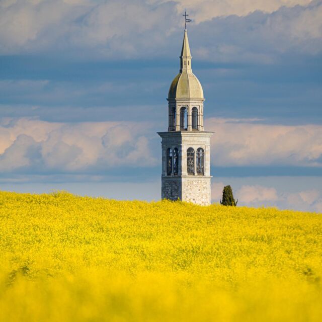 Dove i campi di colza e le nubi del cielo si incontrano, là si trova l'orizzonte ☀

Foto di 📸 @massimo_siega_ducaton 

📍 il campanile di Villalta

#fagagnaturismo #fagagna #feagne #villaltadifagagna #villalta #campanilidelfriuli #campidicolza #colzagialla #yellow #friulicollinare #fvg #friuliveneziagiulia #collinarefvg #fvglive #borghibellifvg #borghitalia #italia #italy