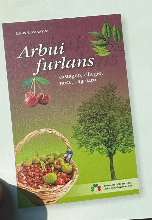 📖 Presentazione del libro "Arbui Furlans"
📅 giovedì 22 maggio 2025
⏰ ore 20:30
📍 Cjase di Catine, via Selvuzzis 1, Villalta di Fagagna

Una serata alla scoperta del patrimonio botanico del nostro territorio con la presentazione del libro "Arbui Furlans - castagno, ciliegio, noce, bagolaro" scritto e presentato da Enos Costantini.
Seguirà un momento conviviale con degustazione di vini offerti dalla Cantina Ronco Penasa di Caporiacco.

Ingresso libero fino a esaurimento posti. Per ulteriori informazioni: lesvilanes@gmail.com