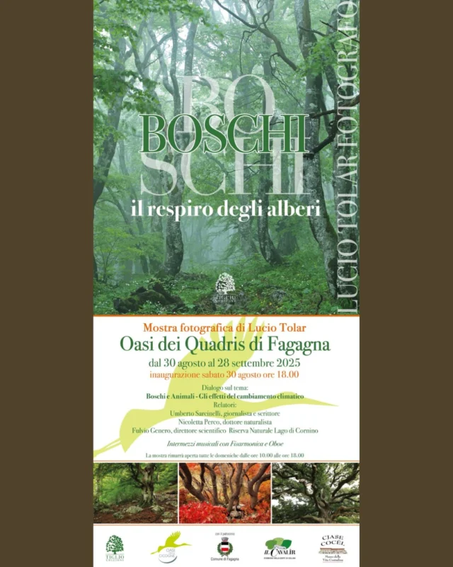 🌲BOSCHI🌳
Il respiro degli alberi

📅 sabato 30 agosto
⏰ ore 18:00
📍 Oasi dei Quadris, Fagagna

Presso l'Oasi dei Quadris si terrà l'inaugurazione della mostra fotografica "BOSCHI" a cura di Lucio Tolar. In seguito sarà possibile visitare la mostra tutte le domeniche dalle 10:00 alle 18:00 fino al 28 settembre 2025. Diversi relatori dialogheranno sul tema "boschi e animali - gli effetti del cambiamento climatico" con intermezzi musicali con fisarmonica e oboe.