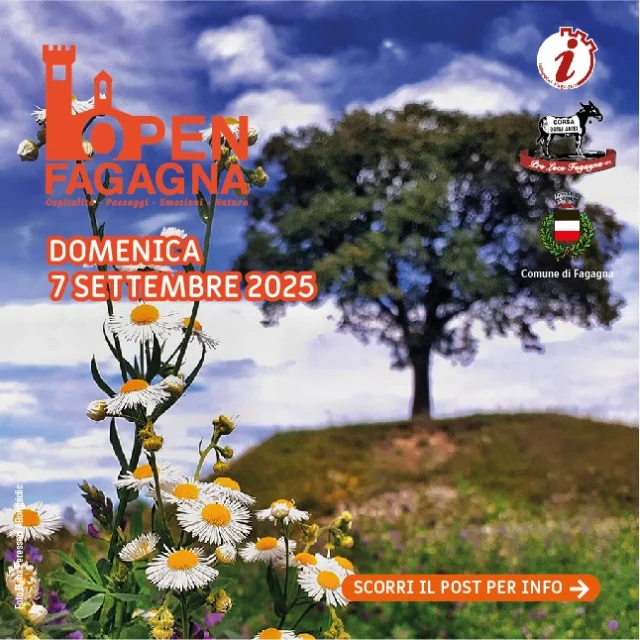 ✨ Domenica 7 settembre torna il format marchio dell’Ufficio turistico di Fagagna.

🚶‍♂️ Cammineremo insieme alla scoperta di luoghi e curiosità del nostro territorio. Per quest’anno vi proponiamo un nuovo percorso panoramico e storico di una decina di km della durata di 3-4 ore.

🥪 Non mancheranno ulteriori soste interessanti, con uno spuntino a metà percorso. A conclusione della passeggiata, rientrati in piazza, i partecipanti avranno la possibilità di pranzare a sagra.

📍 Il ritrovo sarà alle ore 9:00 in P.zza Unità d’Italia, mentre la partenza è prevista per le ore 9:30.

💶 Costo 10 € a persona, comprensivi di accompagnamento turistico e ristoro a metà percorso.

⛈️ In caso di maltempo la passeggiata non avrà luogo.

ℹ I posti sono limitati con prenotazione obbligatoria. Scriveteci via e-mail entro venerdì 5 settembre alle ore 12:30 a 📧 ufficioturistico@prolocofagagna.it.

🤗 Vi aspettiamo per una bella camminata in nostra compagnia!