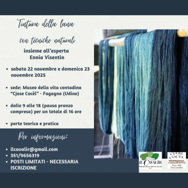 🩸TINTURA DELLA LANA🧶
Con tecniche naturali

📅 sabato 22 e domenica 23 novembre
⏰ dalle 09:00 alle 18:00
📍 Museo della vita contadina Cjase Cocèl 

Un breve corso tenuto insieme ad Ennia Visentin, comprendente sia parte teorica che pratica. 
È necessario iscriversi in quanto i posti sono limitati.
Per info: ilcavalir@gmail.com - 351 965 6319