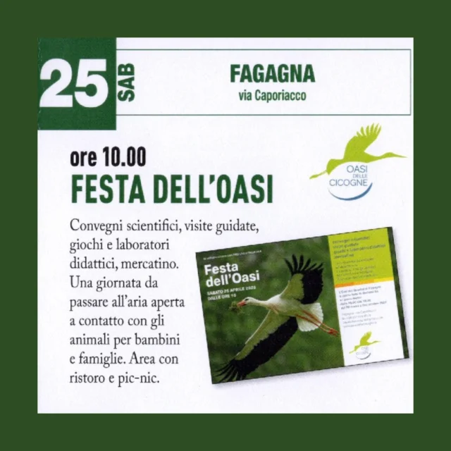 🎆FESTA DELL'OASI🪺

@oasi_delle_cicogne_odv vi aspetta in occasione della sua festa!🥳

📅 sabato 25 aprile
⏰ dalle ore 10:00
📍 Oasi delle cicogne, Via Caporiacco - Fagagna

🌳Durante la giornata si svolgeranno convegni scientifici, visite guidate, e attività dedicate ai più piccoli come giochi e laboratori didattici. Presente area con ristoro e pic-nic.

Per info: oasidellecicogne@gmail.com | http://www.oasidellecicogne.it/